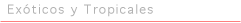 Exóticos y Tropicales
